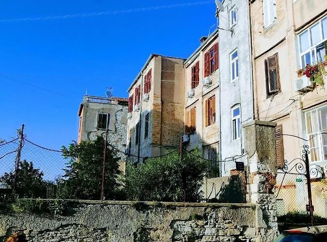 Center Arena Belvedere And