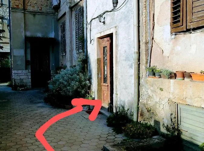 Center Arena Belvedere And 게스트하우스 *