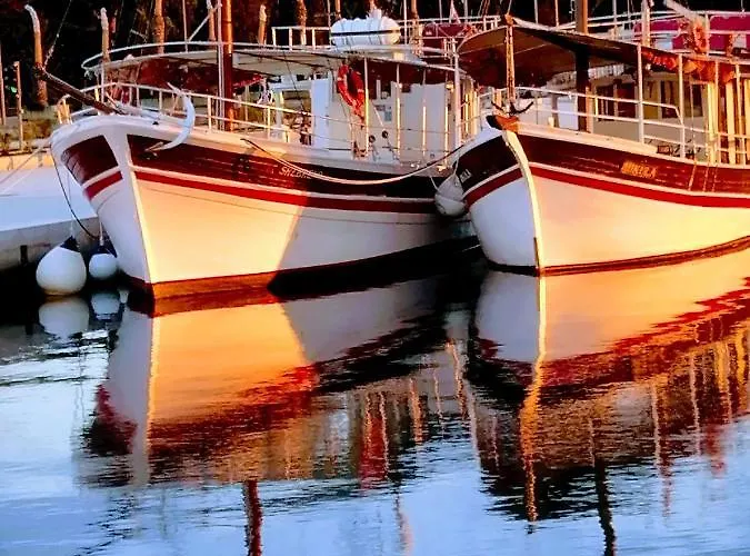 게스트하우스 Center Arena Belvedere And 풀라